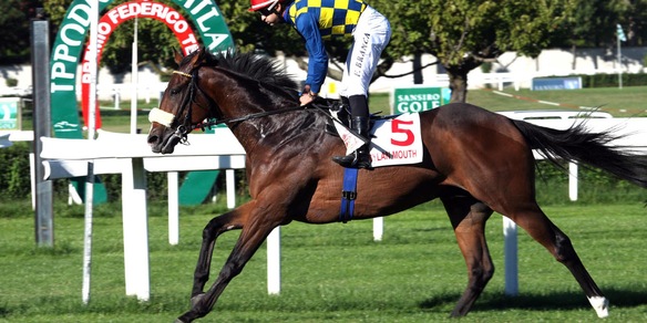 Stato di crisi dell'Ippica italiana: lettera al ministro Lollobrigida