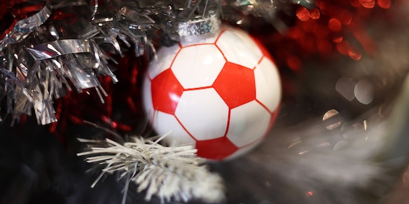 Sheffield, il pallone finisce sull'albero