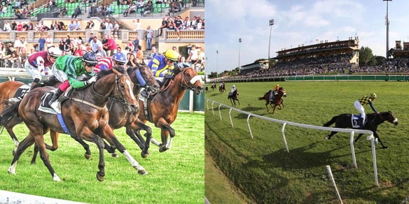 L’ippica a Roma è salva: accordo per la riapertura dell'ippodromo Capannelle