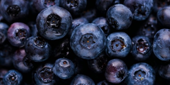 I 7 alimenti che favoriscono la crescita dei neuroni: agiscono come fertilizzante per il cervello