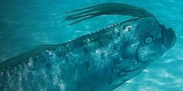 Spuntano nuovi pesci dell'Apocalisse: allarme in tutto il mondo, catastrofe in arrivo?