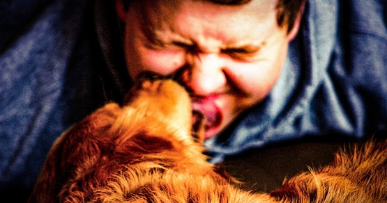 Il tuo cane non ti lecca perché ti ama, il vero motivo è un altro