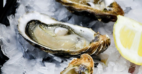 Ostriche, scatta l'allarme dopo l'inquietante scoperta: cosa hanno trovato gli scienziati