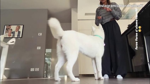 Chiara Frattesi "ordina" e la cagnolina obbedisce: l'orgoglio della sorella di Davide...