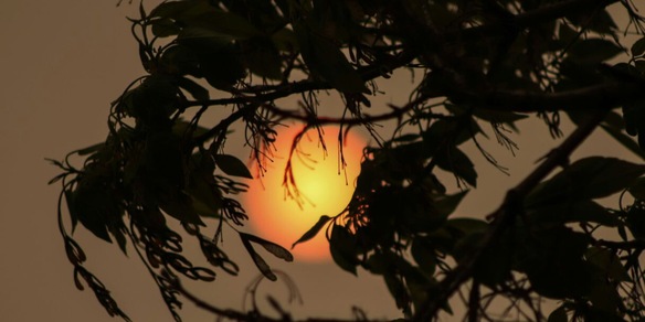 Uno scienziato ha previsto la fine del mondo nel 2026, c'è la data precisa