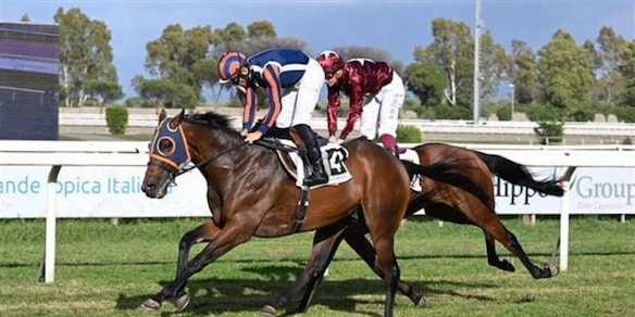 Il cavallo di Allegri perde di... corto muso: il racconto da Capannelle