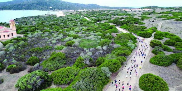 L’Asinara, da carcere a paradiso: il simbolo della rinascita della Sardegna