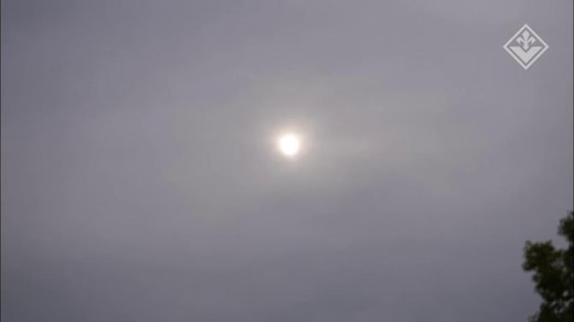 Fiorentina, primo allenamento di Vanoli