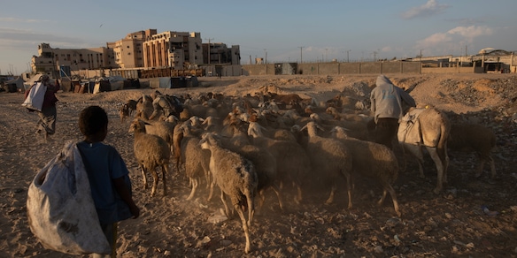 Mosca propone una bozza all'Onu su Gaza, sfida agli Usa