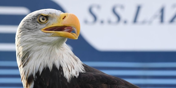 Lazio, i tifosi hanno scelto il nome: come si chiamerà la nuova aquila