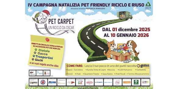 “Pet Carpet: Un riciclo da Oscar”: sostenibilità a 4 zampe