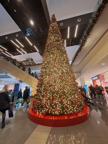 Da lunedì 42 miliardi tredicesime, a erario 13,8 miliardi