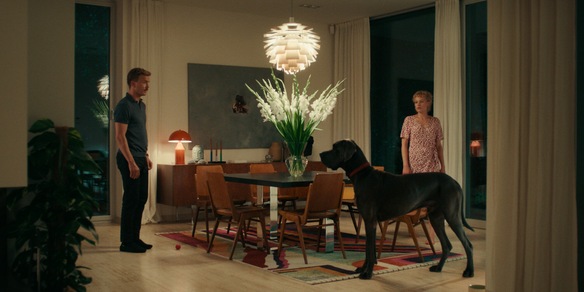 Peacock – Un uomo (quasi) perfetto dal 9 dicembre sulla piattaforma IWONDERFULL – Prime Video Channels