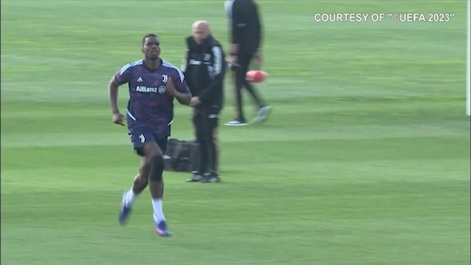 Pogba imprenditore nel mondo dei cammelli