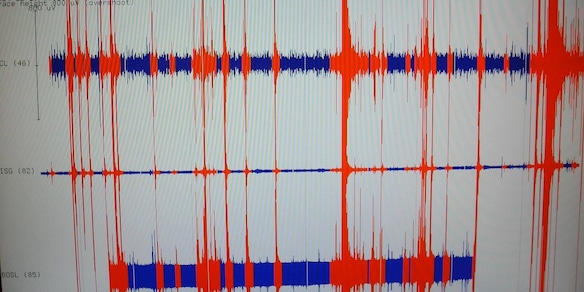 Terremoto di magnitudo 6.7 in Giappone, allerta tsunami