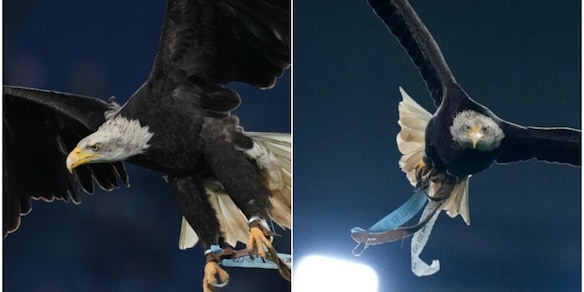 Lazio, debutta l'aquila Flaminia: primo volo all'Olimpico