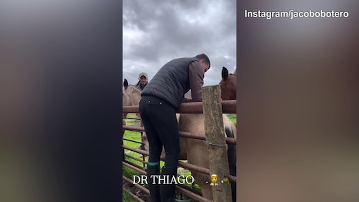 Riecco Thiago Motta: il tecnico coccola un...cavallo