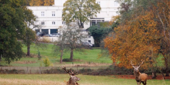 Bbc, 'l'ex principe Andrea ha lasciato la residenza di Windsor'