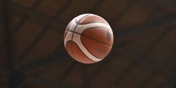 Commissione di vigilanza sullo sport professionistico: Federbasket e Lega avviano un "Tavolo di confronto"