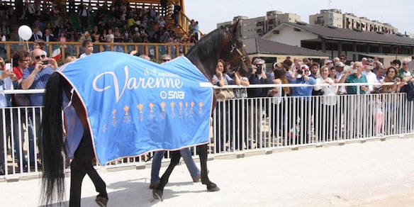 Varenne: la leggenda italiana che ha fatto la storia dell'ippica, il trotto da rincorrere