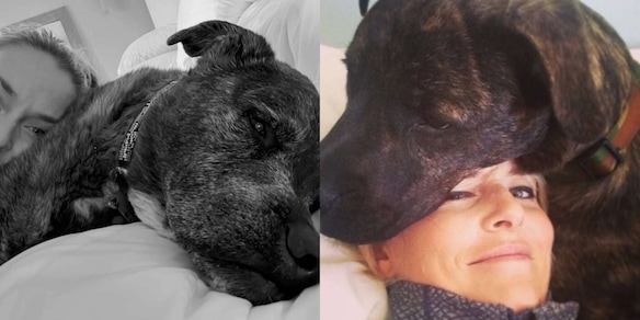 Il dramma di Lindsey Vonn: muore il suo cane mentre lei è sotto i ferri. Il messaggio straziante