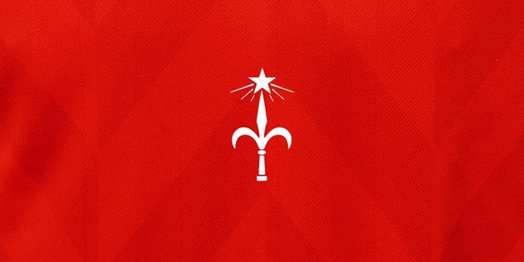 Triestina Calcio, nessun legame nuova proprietà con precedente dirigenza