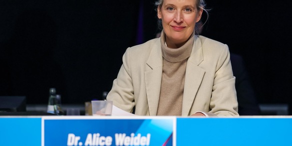 Afd, la decisione della Corte tedesca una vittoria per la democrazia