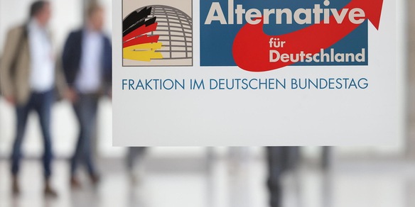 Tribunale tedesco sospende la definizione di Afd come gruppo estremista