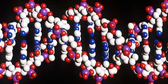 E' online la ChatGpt del Dna, scrive e analizza sequenze genetiche