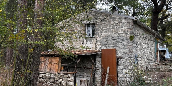 Il Tribunale dei minori, 'sul caso famiglia del bosco toni aggressivi'