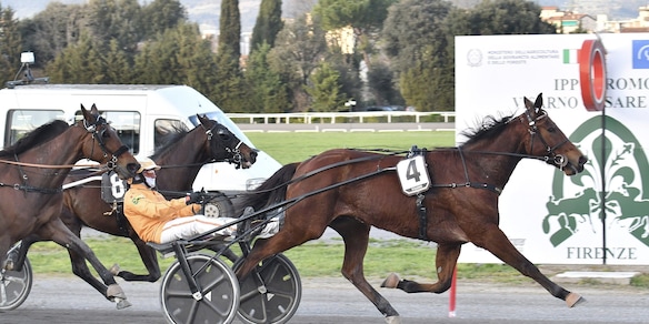 Ippica, Trotto: domenica a Firenze l’80° edizione del Gran Premio Duomo