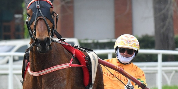 Ippica, domani l’80° GP Duomo a Firenze: è sfida tra giganti, Gocciadoro studia il poker