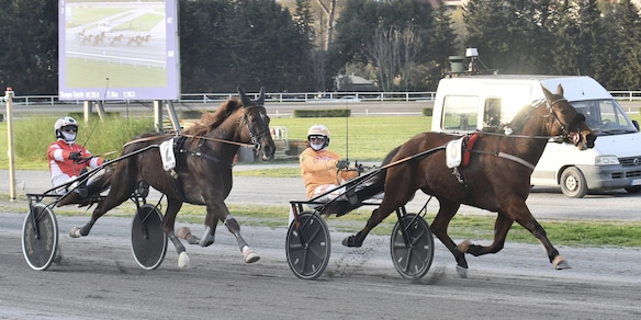 Ippica, Firenze: Dany Capar straripante, l’80° Gran Premio Duomo è ancora suo