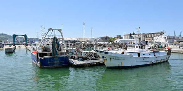 Pesca: Lollobrigida, credito di imposta al 20% sui carburanti