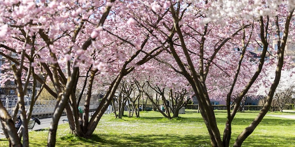 L'incontro tra Luna e Venere festeggia l'equinozio di primavera