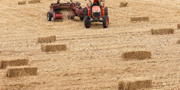 Lollobrigida 'mettiamo credito d'imposta su gasolio agricolo in Dl'