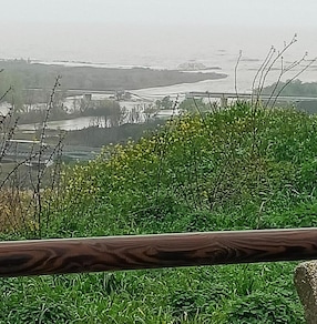 Ponte crollato sul Trigno, Mit 'A14 gratuita per garantire collegamenti'