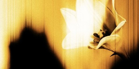 Gli U2 pubblicano a sopresa un nuovo ep di 6 tracce Easter Lily