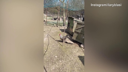 Domenica di Pasqua, Ilary Blasi testa...le uova