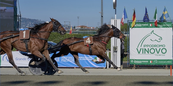 Ippica, Torino: Gran Premio Costa Azzurra, trionfo di Always EK. Nei Derby 4 anni a segno Giovaz e Guglielmo Jet