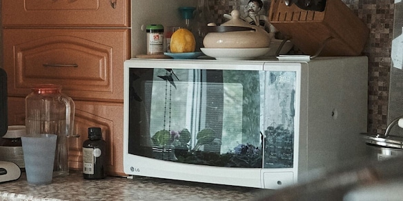 Perché sempre più automobilisti mettono le chiavi della macchina nel microonde