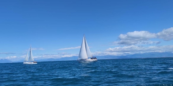 Sport, educazione civica e sostenibilità: al via la Settimana Verde oltre 130 iniziative per l'ambiente in tutta Italia