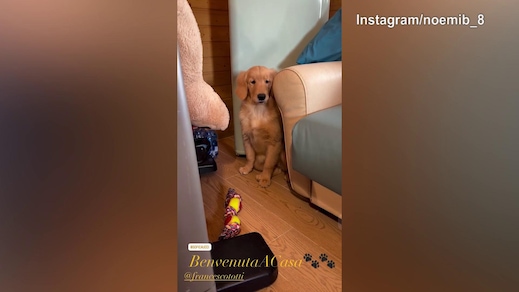 Nuovo arrivato in casa Noemi Bocchi: di chi si tratta?