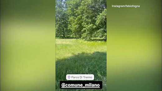 Fognini contro il Comune di Milano: "Tagliate l'erba"