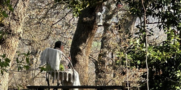 In arrivo la relazione degli ispettori del ministero sulla famiglia del bosco