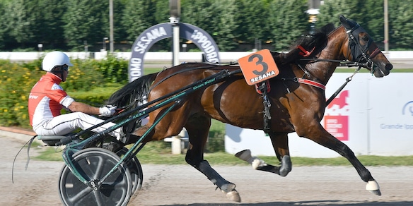 Montecatini, Iridio sbanca il Sesana: vittoria e record nel Premio Scuderia Big David