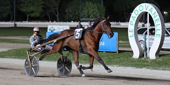 Padova, capolavoro Dubhe Prav: domina il GP Grassetto e firma il bis con Santo Mollo