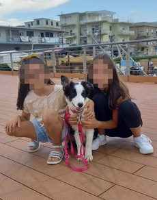 ++ Il tutore delle due sorelle, 'obiettivo recupero rapporto col padre' ++