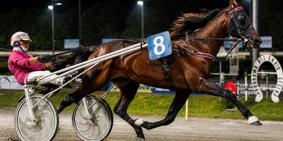 Cesena, prima classica della stagione: sabato 4 luglio il Gran Premio Riccardo Grassi
