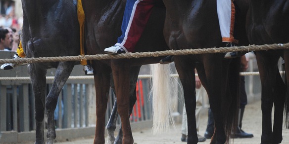 Palio di Siena, vince contrada Aquila, non accadeva dal 1992